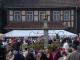 bild7.html